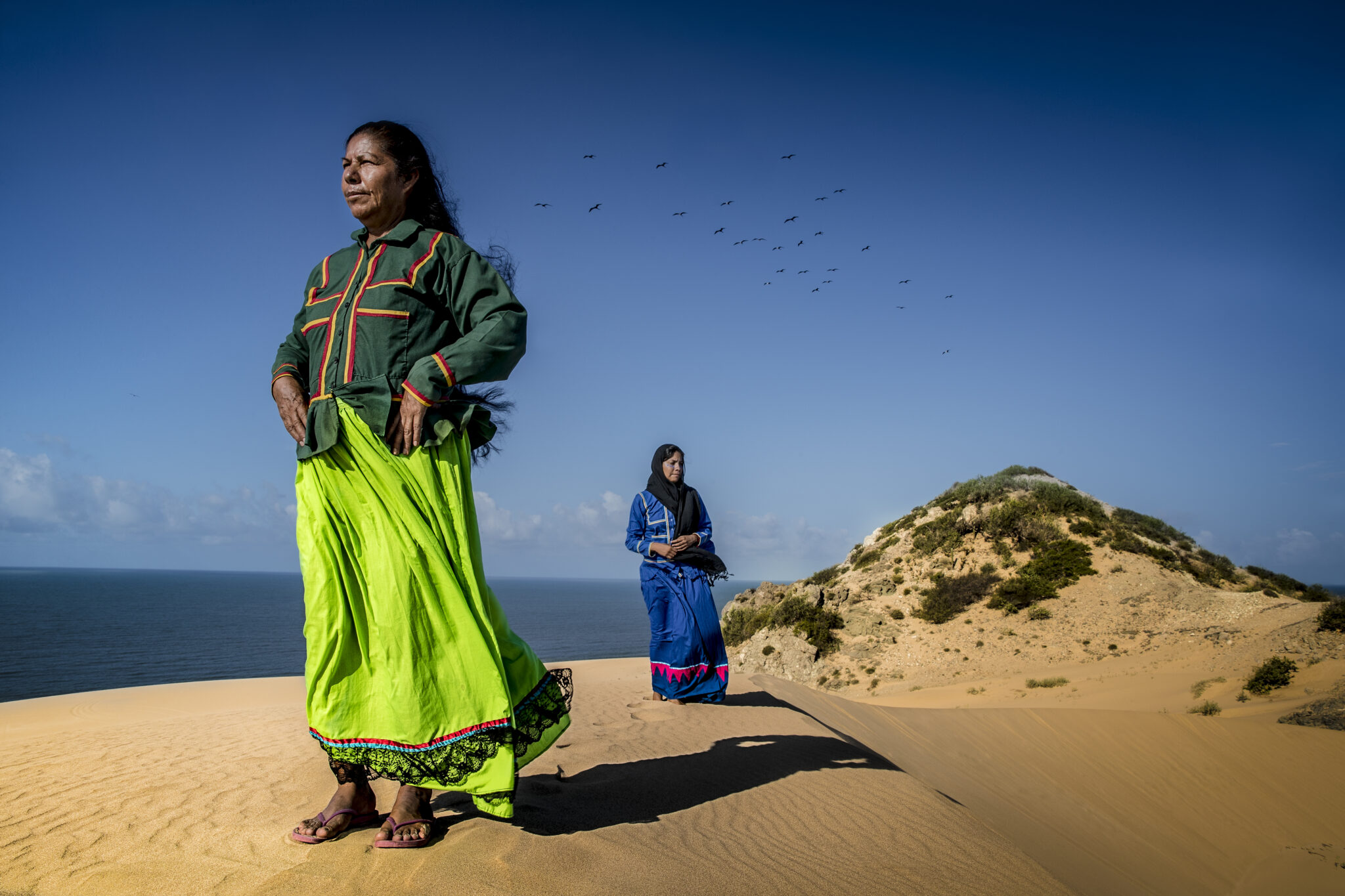 Sonora — desierto y naturaleza